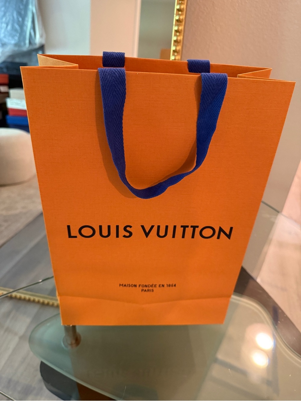 LOUIS VUITTON GIFT BAG